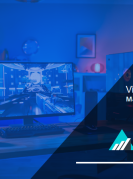 Video Game Market Overview